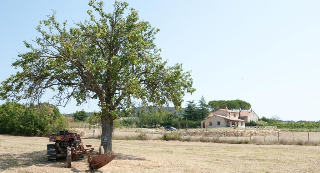 Casale Le Rote Amelia Exterior photo